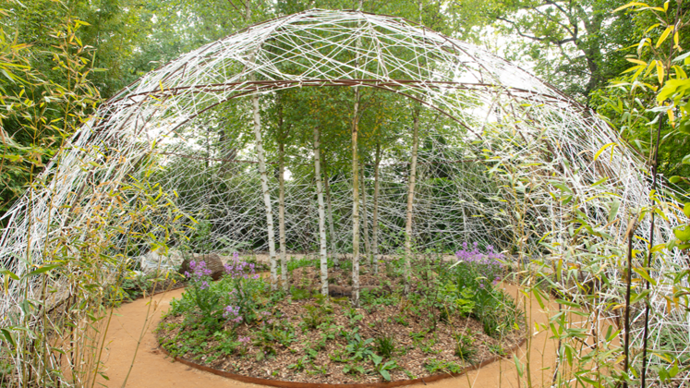 10-Le cocon ve´ge´tal (Belgique) - © E. Sander